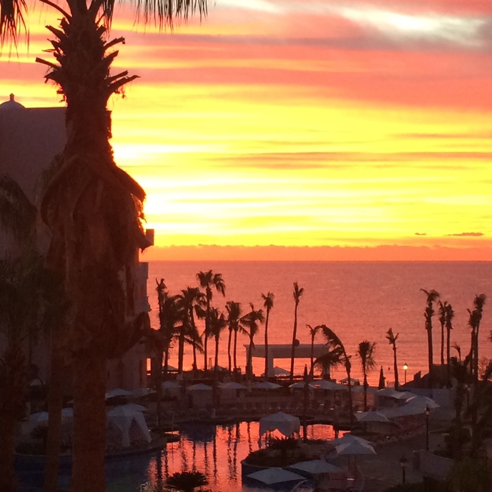 Meet your Posher, Jeannine